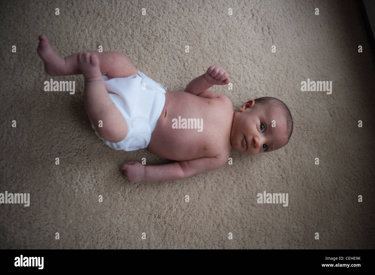 zwei Monate altes Mädchen auf einem Teppichboden Kamera blickte verlegen Stockfoto