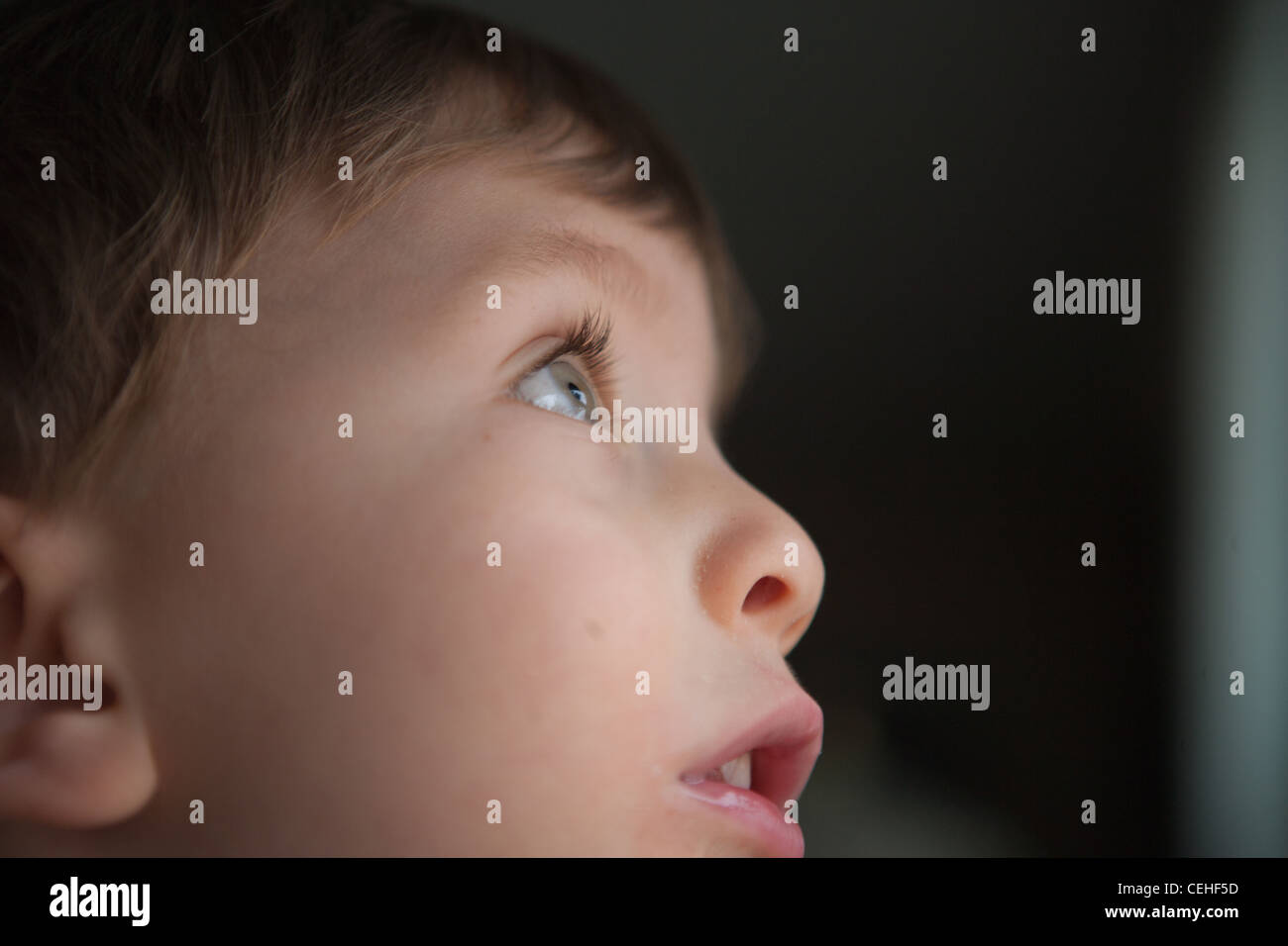 Nahaufnahme eines zwei Jahre alten Jungen nachschlagen durch Fenster, Profil des Gesichts. Stockfoto