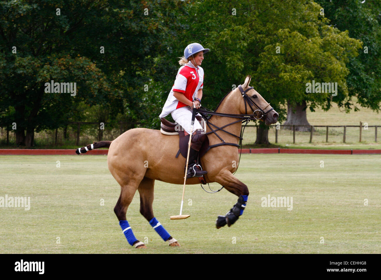 Polo-Pferd und Reiter Oxfordshire Stockfotografie - Alamy
