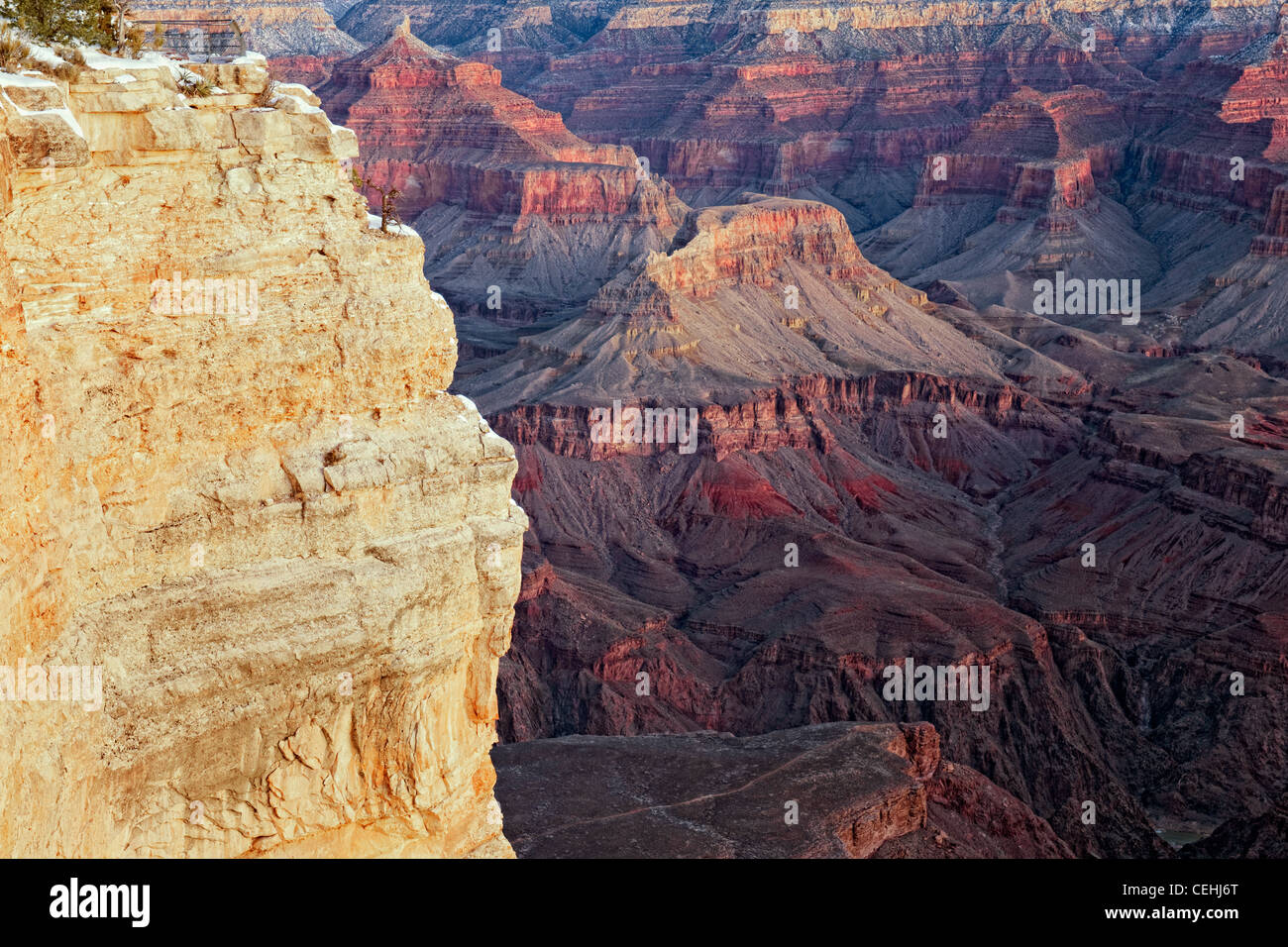 Vor Dämmerung Licht verstärkt die Farben des Arizonas Grand Canyon National Park vom Südrand am Mather Point. Stockfoto