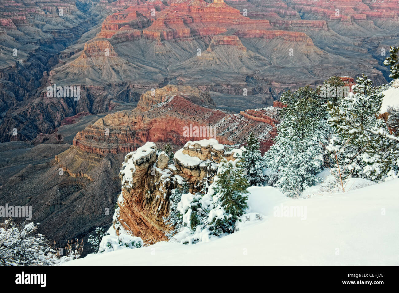 Bürgerlichen Dämmerung verstärkt die Farben von Arizona Grand Canyon National Park mit Schneefall entlang des South Rim am Mather Point. Stockfoto