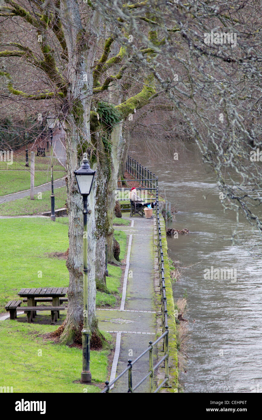 Dame mit ihr Einkaufen in einem malerischen bewaldeten Fluss Pfad über den Fluss Severn bei Llanidloes Mitte Wales ruhen Stockfoto