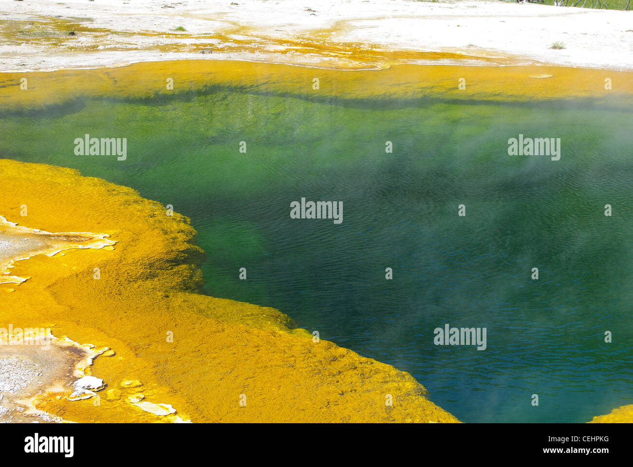 Grün-ockerfarbene hot Pool, Yellowstone-Nationalpark, Wyoming Stockfoto