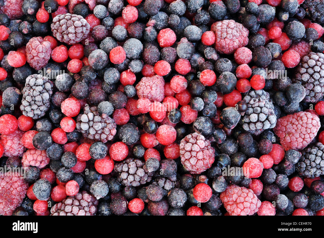 Nahaufnahme von gefrorenen gemischten Früchten - Beere - rote Johannisbeere, Cranberry, Himbeere, Brombeere, Heidelbeere, Heidelbeere, schwarze Johannisbeere Stockfoto