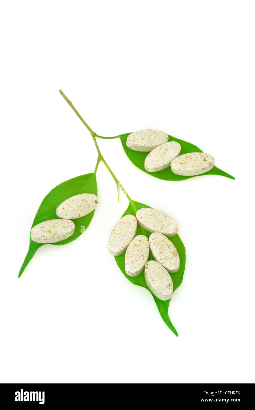 Pflanzliches Präparat Pillen und frische Blätter – Alternativmedizin Konzept - isoliert Stockfoto