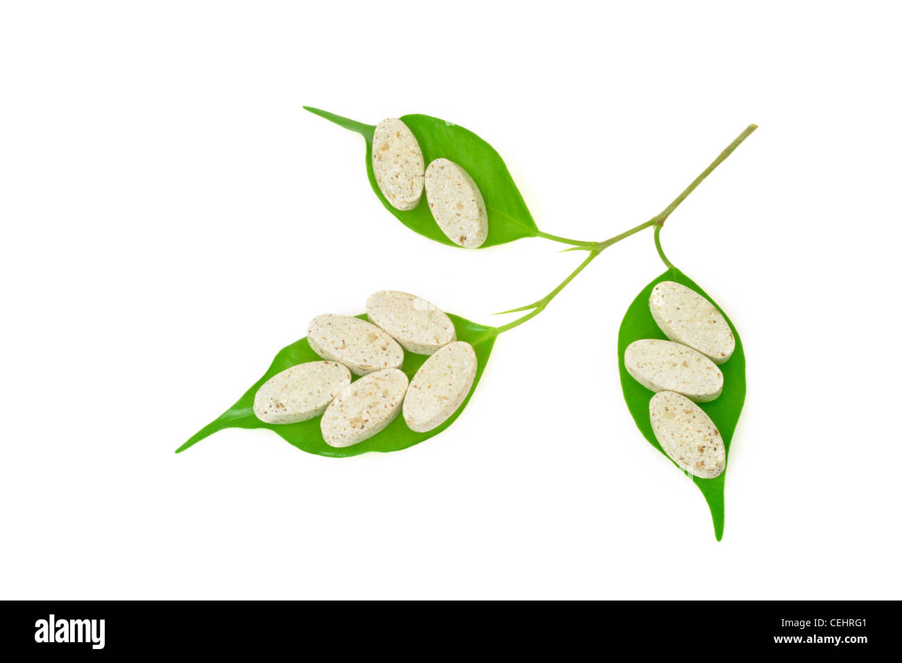 Pflanzliches Präparat Pillen und frische Blätter – Alternativmedizin Konzept - isoliert Stockfoto