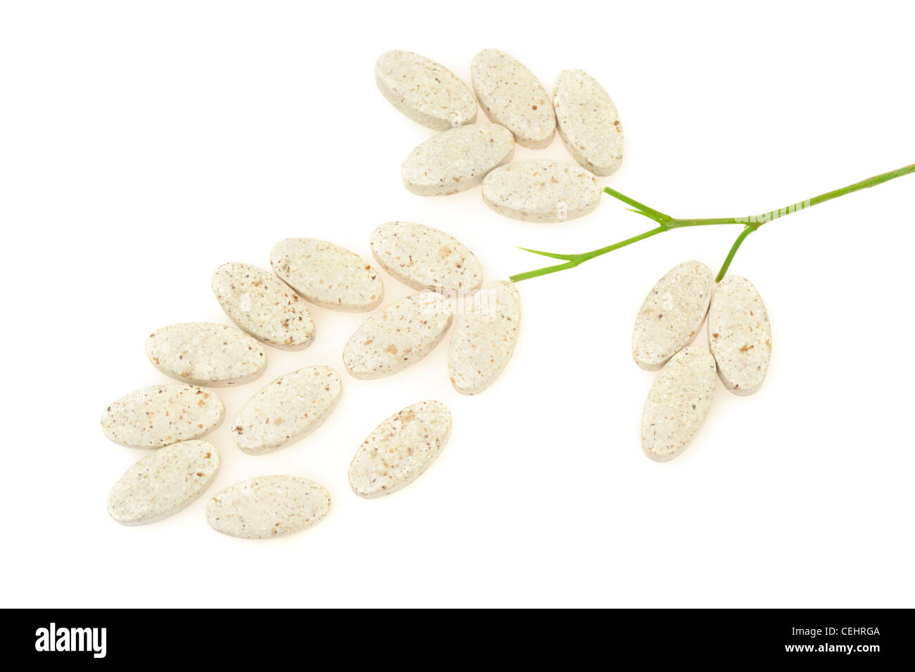 Anlage bestehend aus Pillen – Alternativmedizin Konzept - isoliert Stockfoto