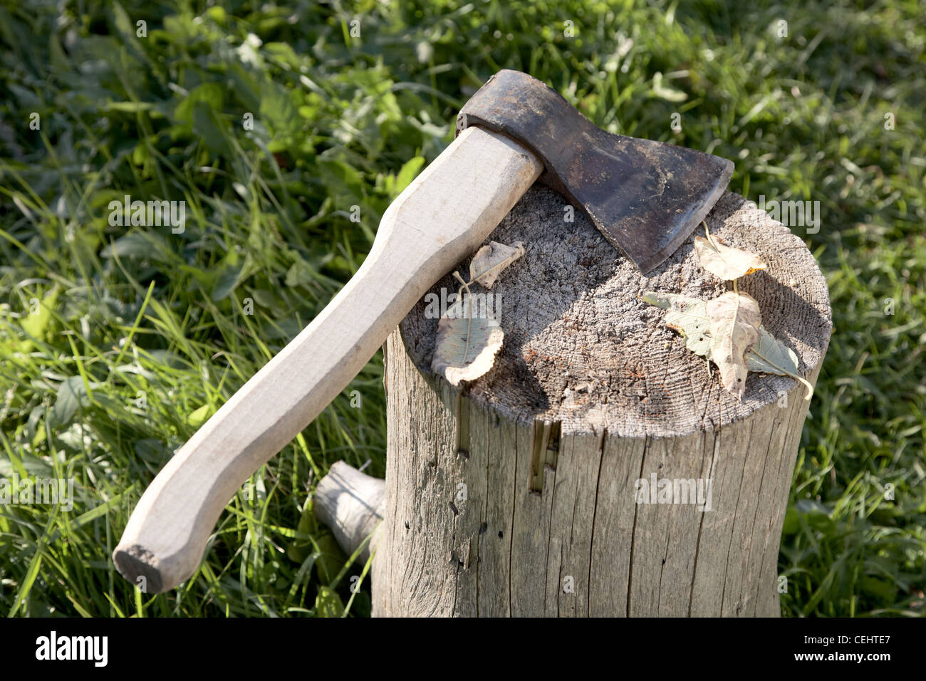 Axt mit Pack für Kabine gegen einen grünen Rasen Stockfoto