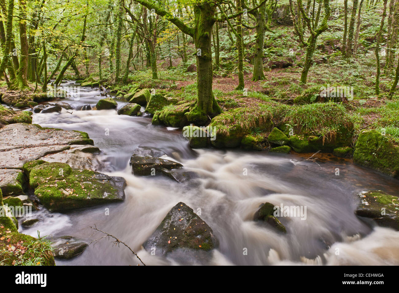 GOLITHA FALLS, NR LISKEARD, CORNWALL, GROßBRITANNIEN, UK Stockfoto