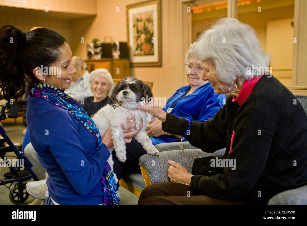 Heimbewohner in Mission Viejo, Kalifornien, spielen mit speziell ausgebildeten "Therapiehunde" brachte von Freiwilligen Stockfoto