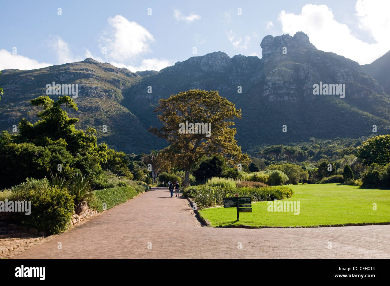 Kirstenbosch National Botanical Gardens, Cape Town, Western Cape Province Stockfoto