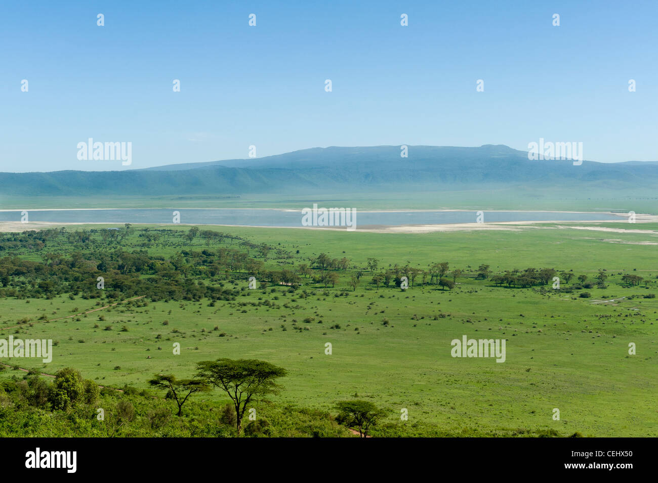 Ngorongoro Crater Panoramablick vom Aufstieg Straße Tansania Stockfoto