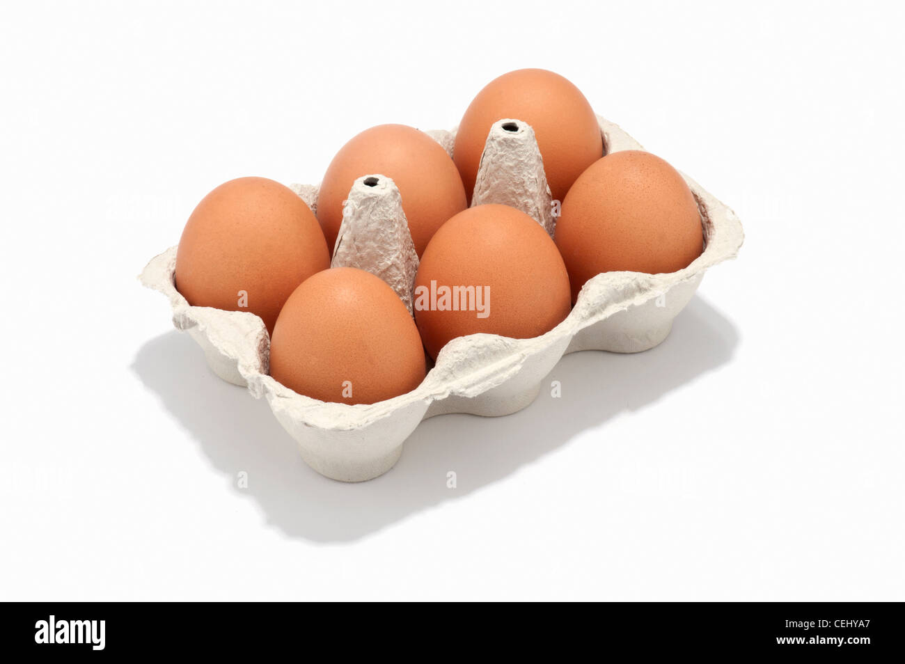 6 Eiern in einem Eierkarton Stockfoto