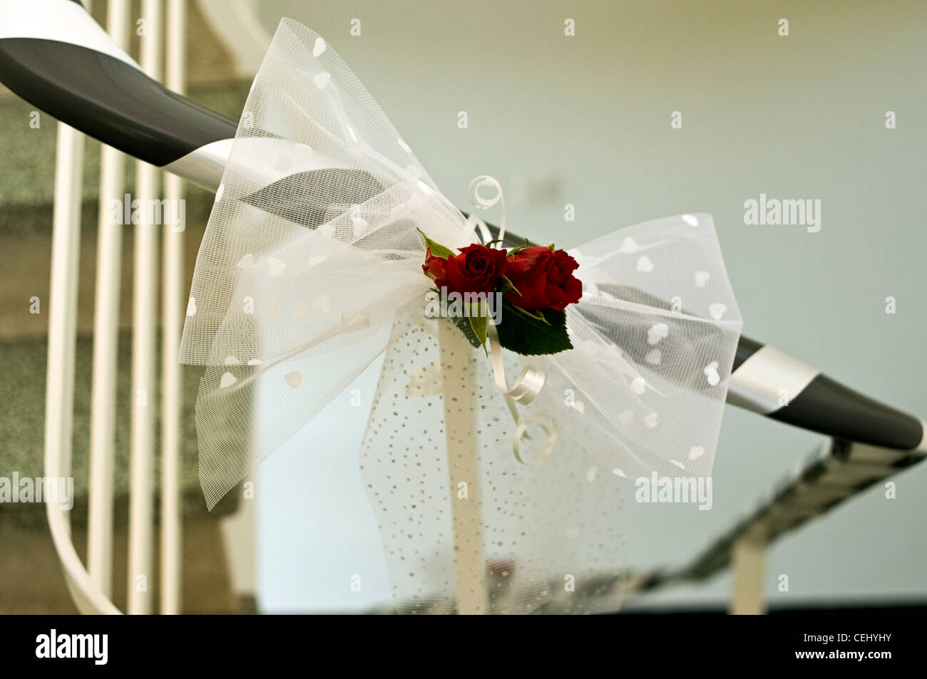 rote Rosen und weißen Knoten bei einer Hochzeit in Italien Stockfoto