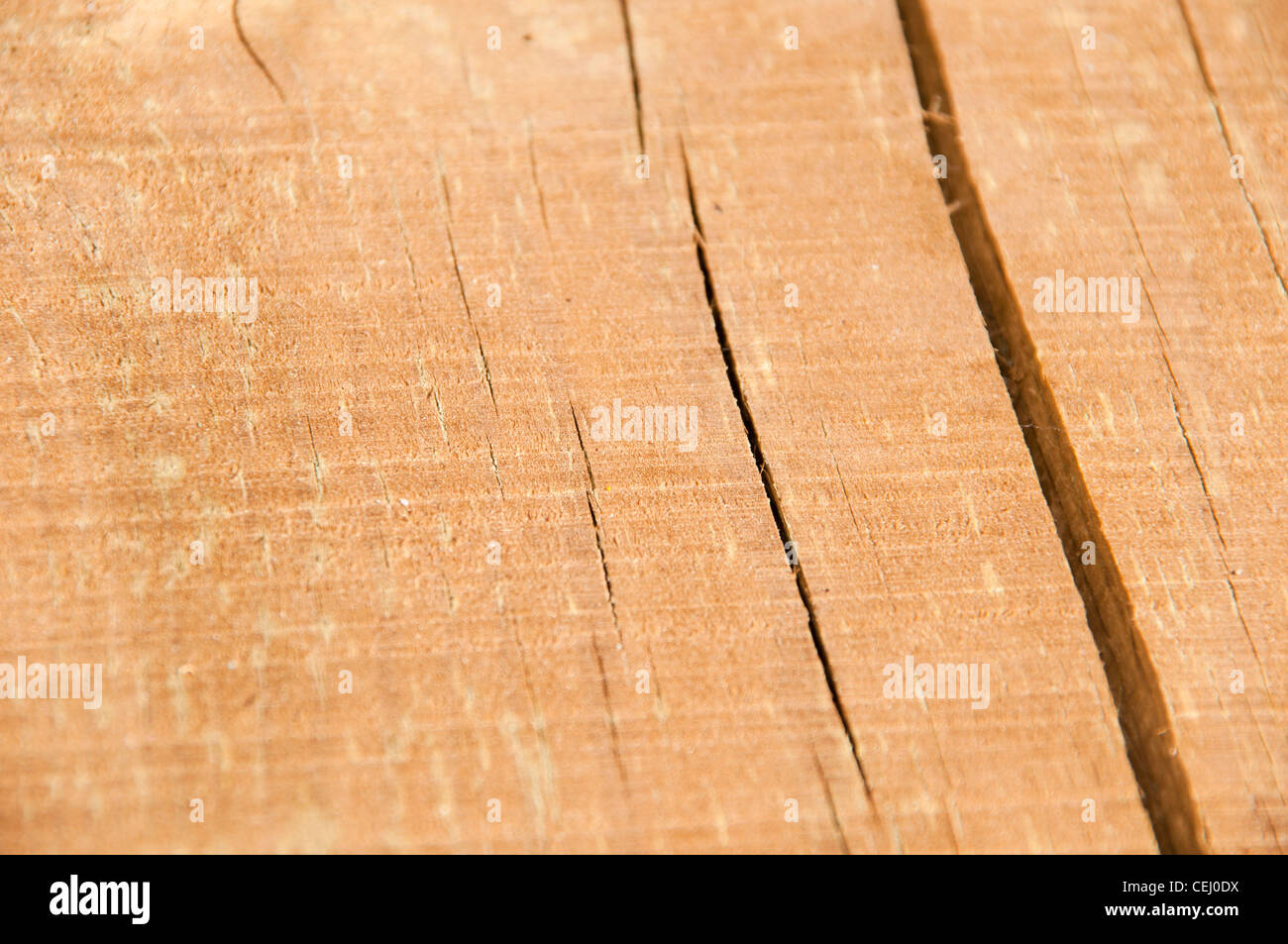 Kiefer Holz Hintergrund Stockfoto