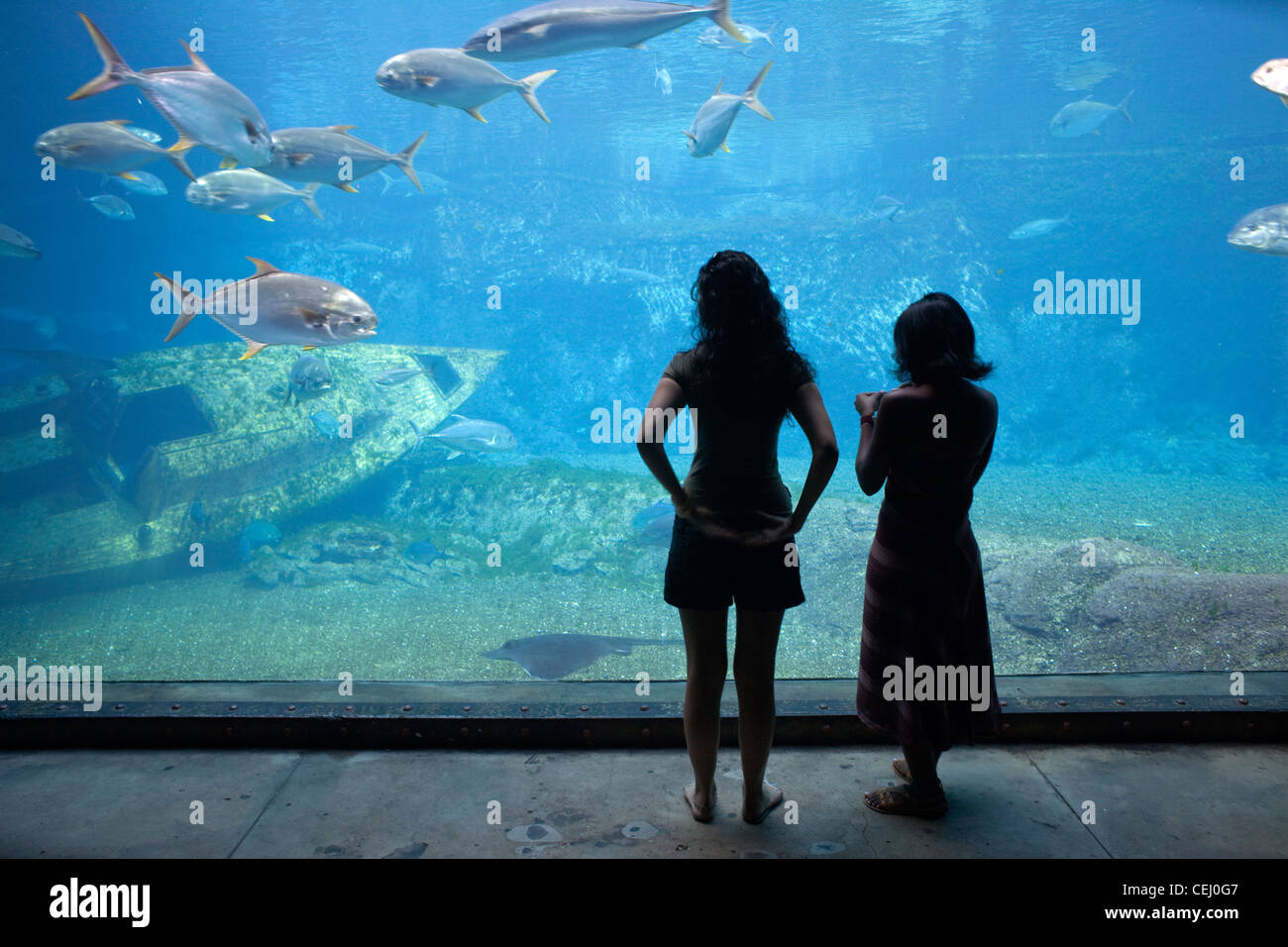 UShaka Marine World und Florida Road, Durban, KwaZulu-Natal. Stockfoto