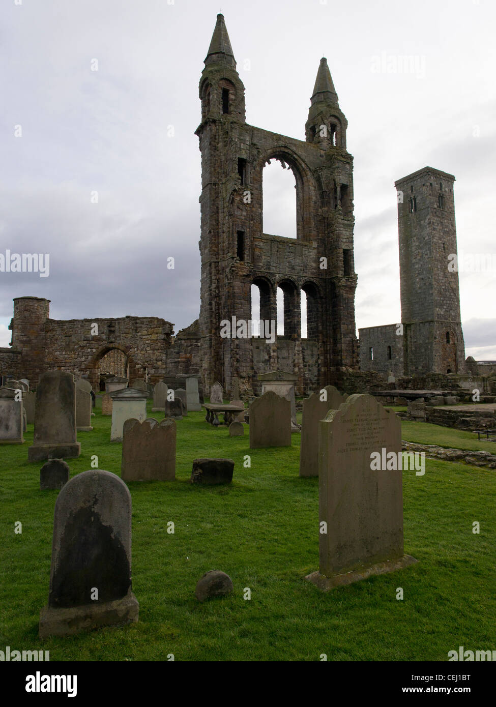 Kathedrale von St Andrews, Fife, Schottland Stockfoto