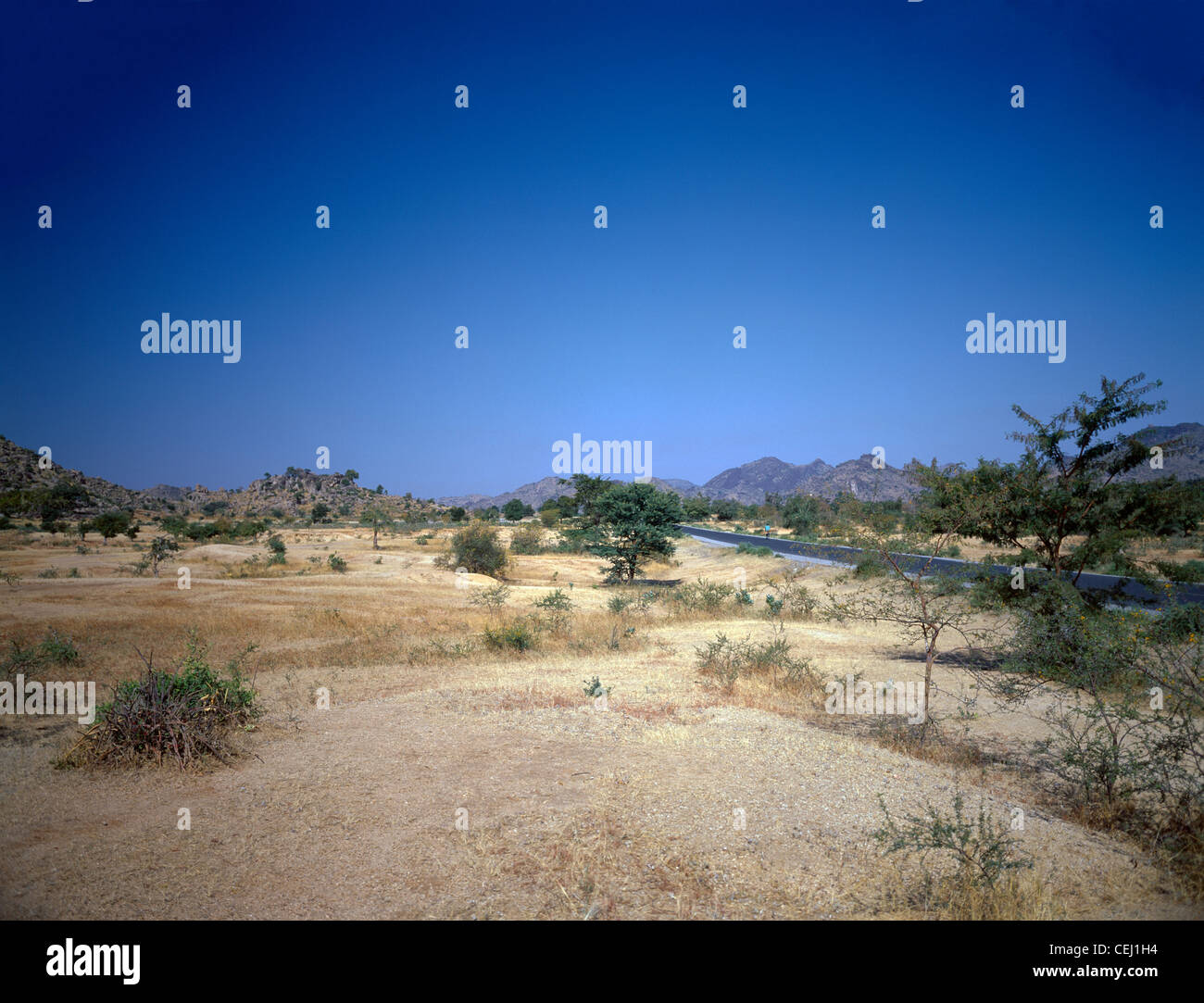 Kamerun Nordstraße von Maroua in den Tschad Stockfoto