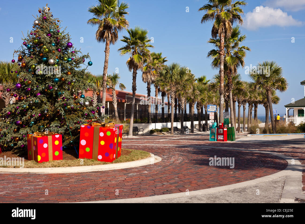 Weihnachtsbaum in Vero Beach florida Stockfoto