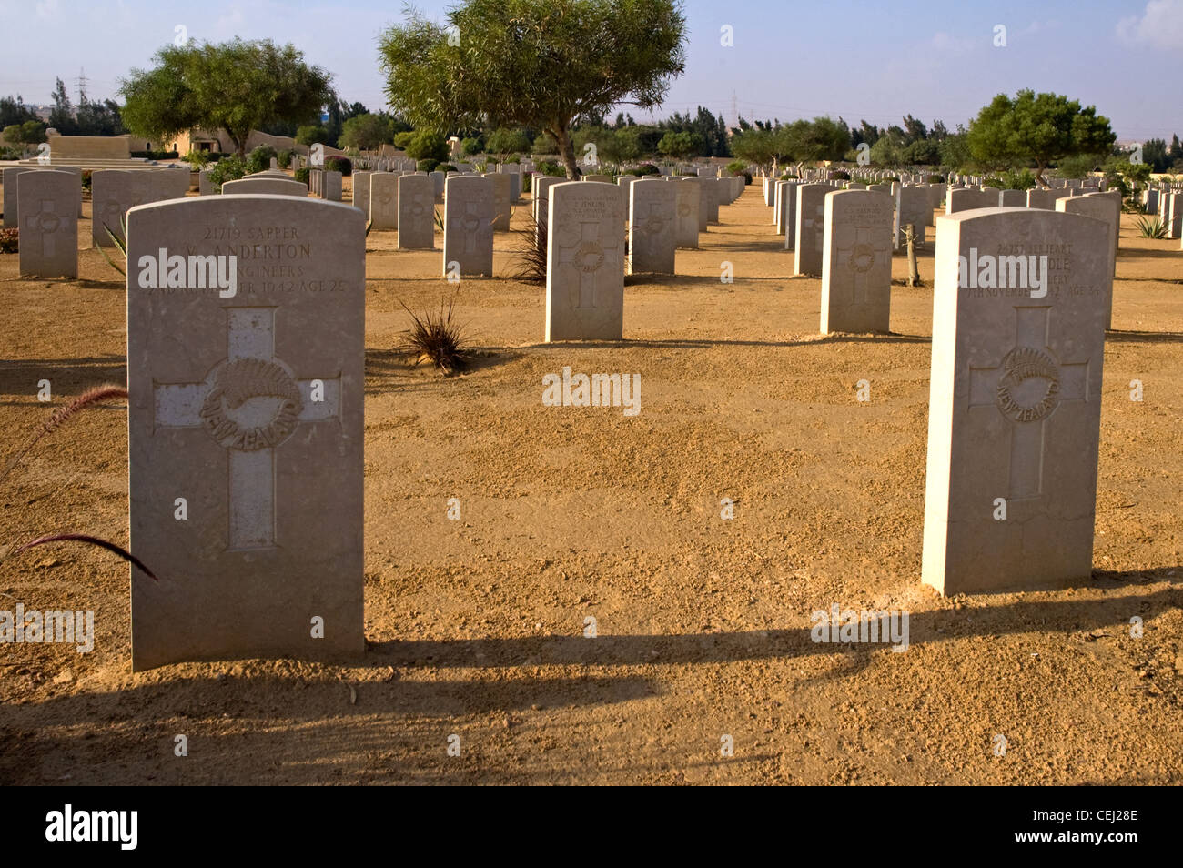 Nordafrika, Ägypten, El Alamein, Blick auf Grabsteine auf dem Soldatenfriedhof Stockfoto