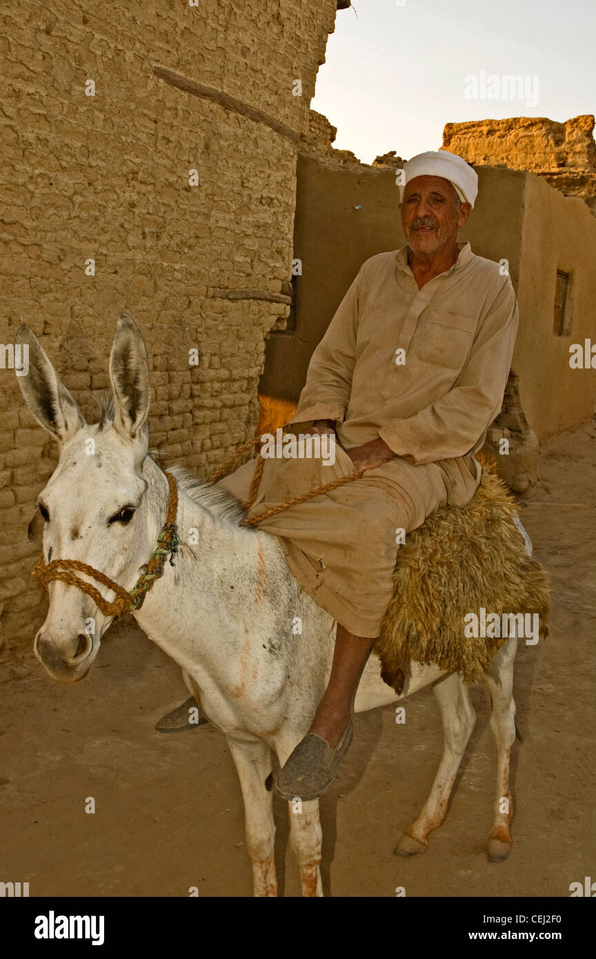 Nordafrika, Ägypten, Oase Dakhla, Qasr Dakhla, Alter Mann mit Esel Stockfoto