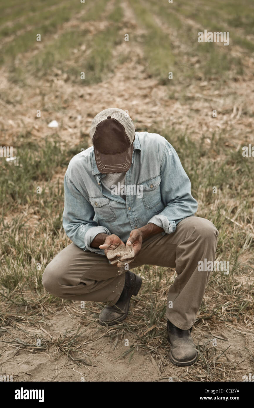 African American Farmer Prüfung Schmutz im Feld Stockfoto