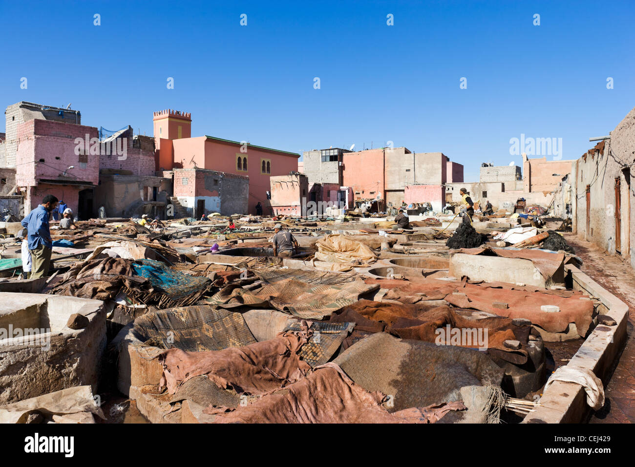 Die Gerbereien in der Medina Bezirk, Marrakesch, Marokko, Nordafrika Stockfoto