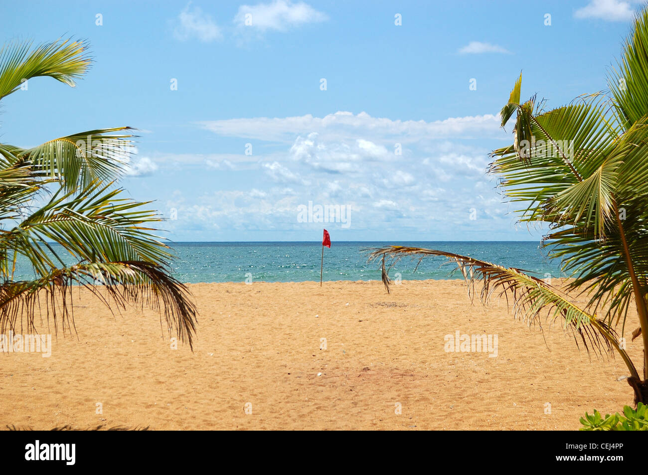 Strand, Wedel der Palmen und türkisfarbenen Wasser des Indischen Ozeans, Bentota, Sri Lanka Stockfoto