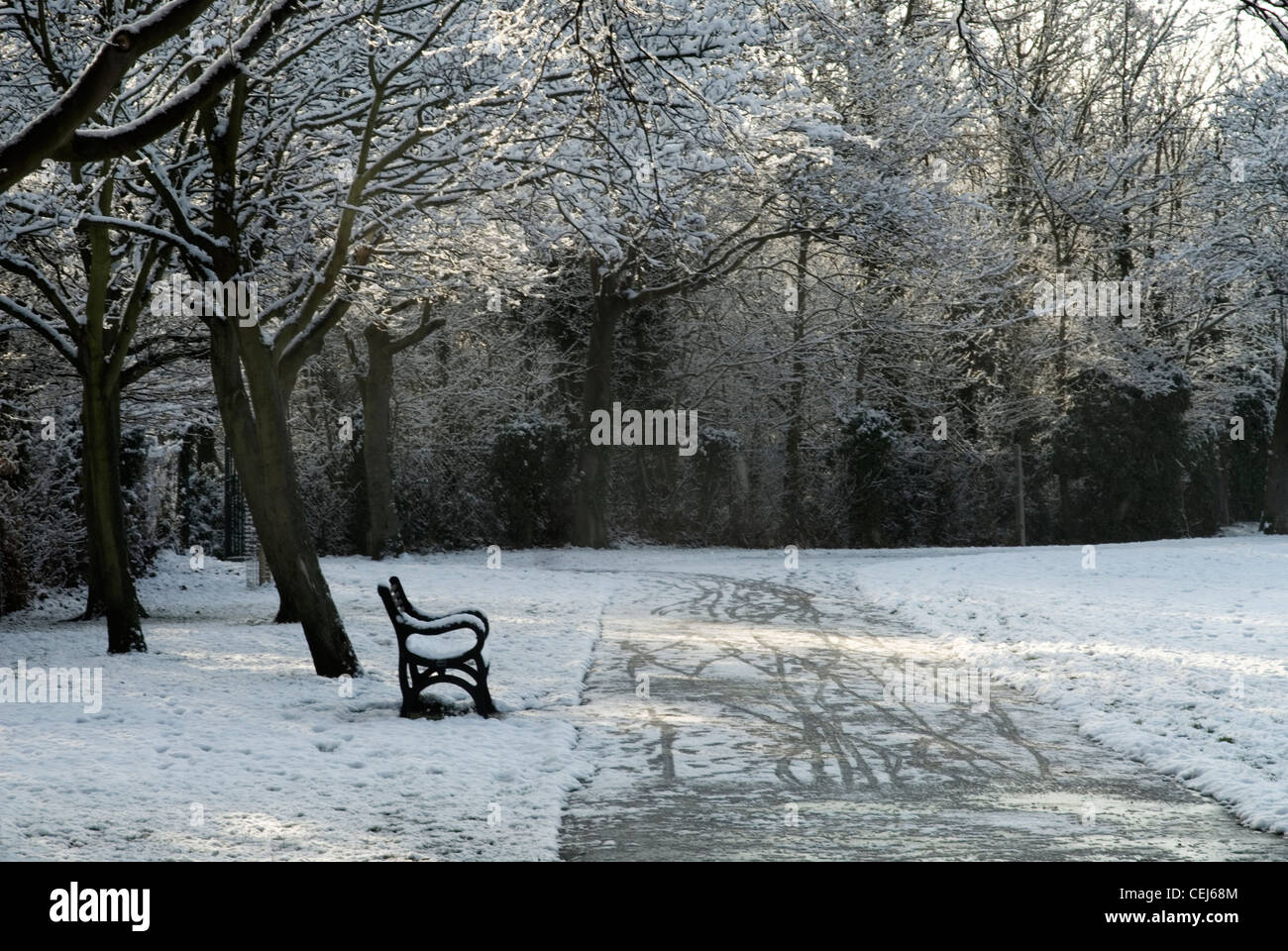 Schneebedeckte Bäume im Motspur Park South London UK Stockfoto