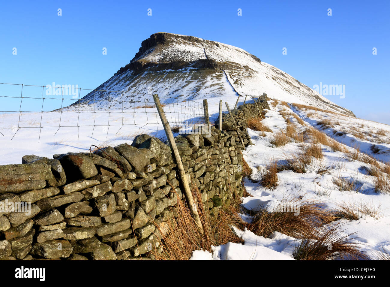Ein Winter-Blick auf den Gipfel des Pen-y-Gent, eines der drei Zinnen, ein Berg in den Yorkshire Dales National Park. Stockfoto