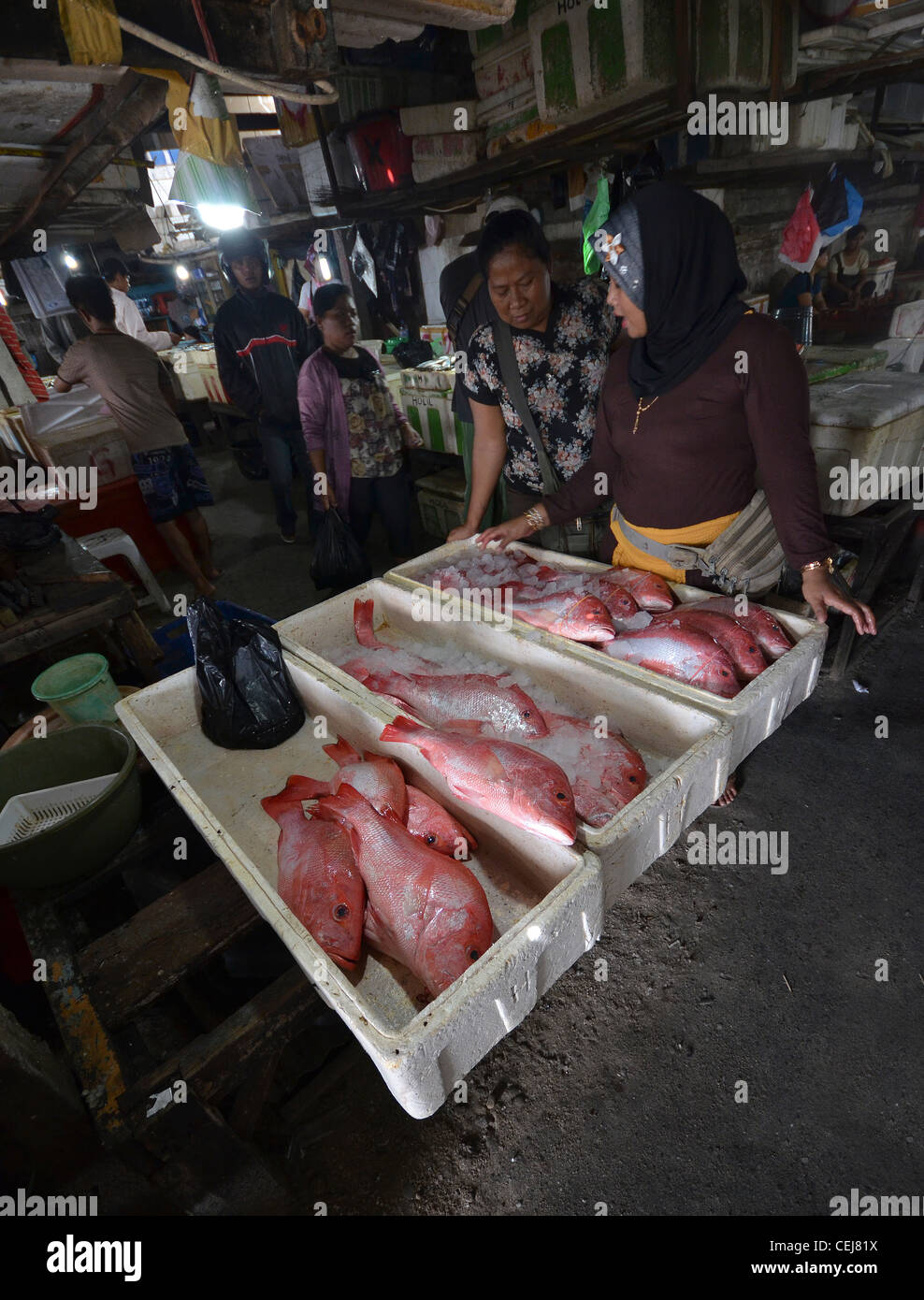 Frischer Fisch zum Verkauf an Jimbaran lokalen Fischmarkt, in der Nähe von Kuta, Bali, Indonesien Stockfoto