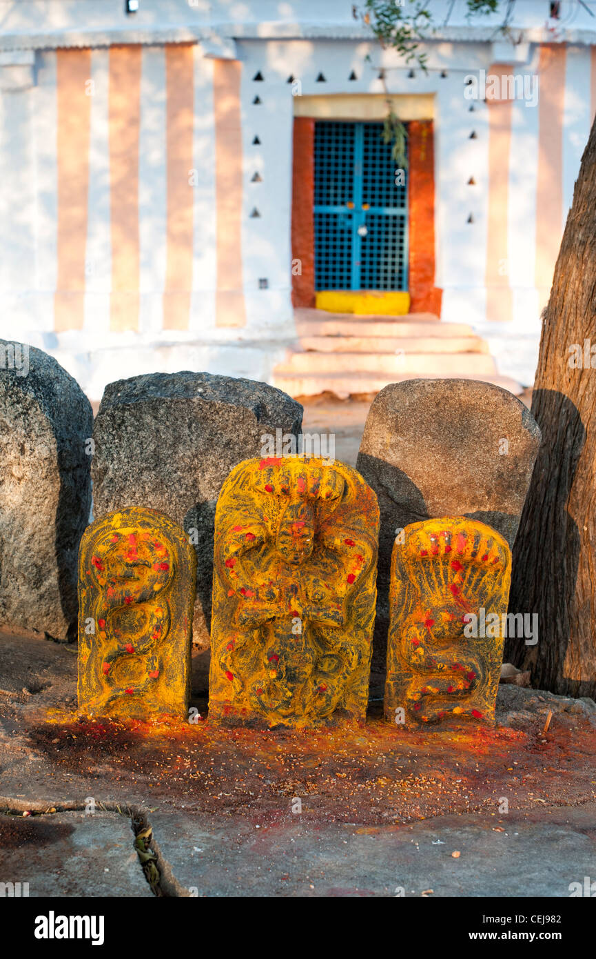 Hindu Altar Steinen in einem Tempel indische Vishnu Gottheit in der südindischen Landschaft darstellt. Andhra Pradesh, Indien Stockfoto