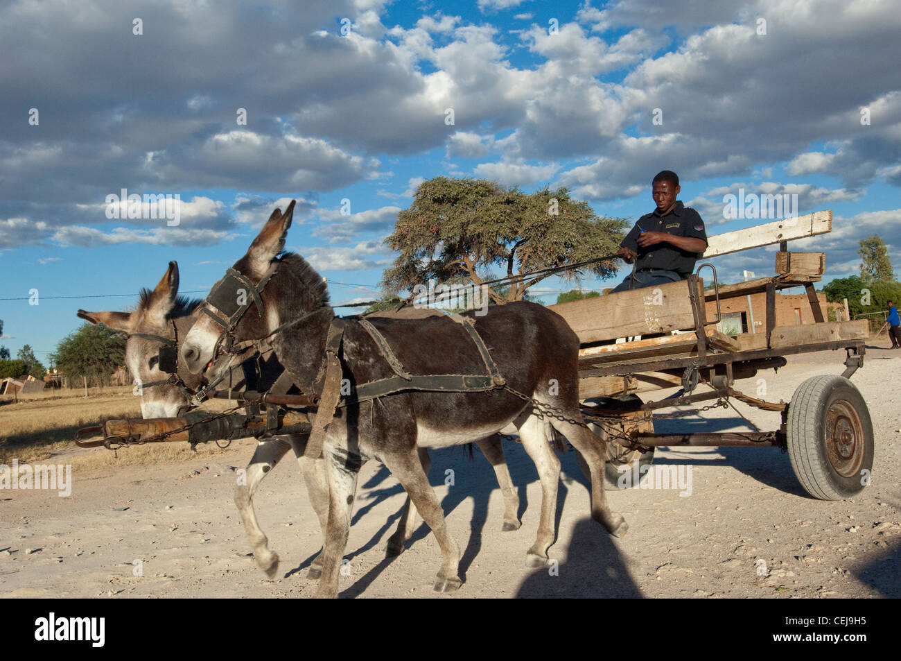 Eselskarren auf staubigen Straße, Kuruman, Northern Cape Stockfoto