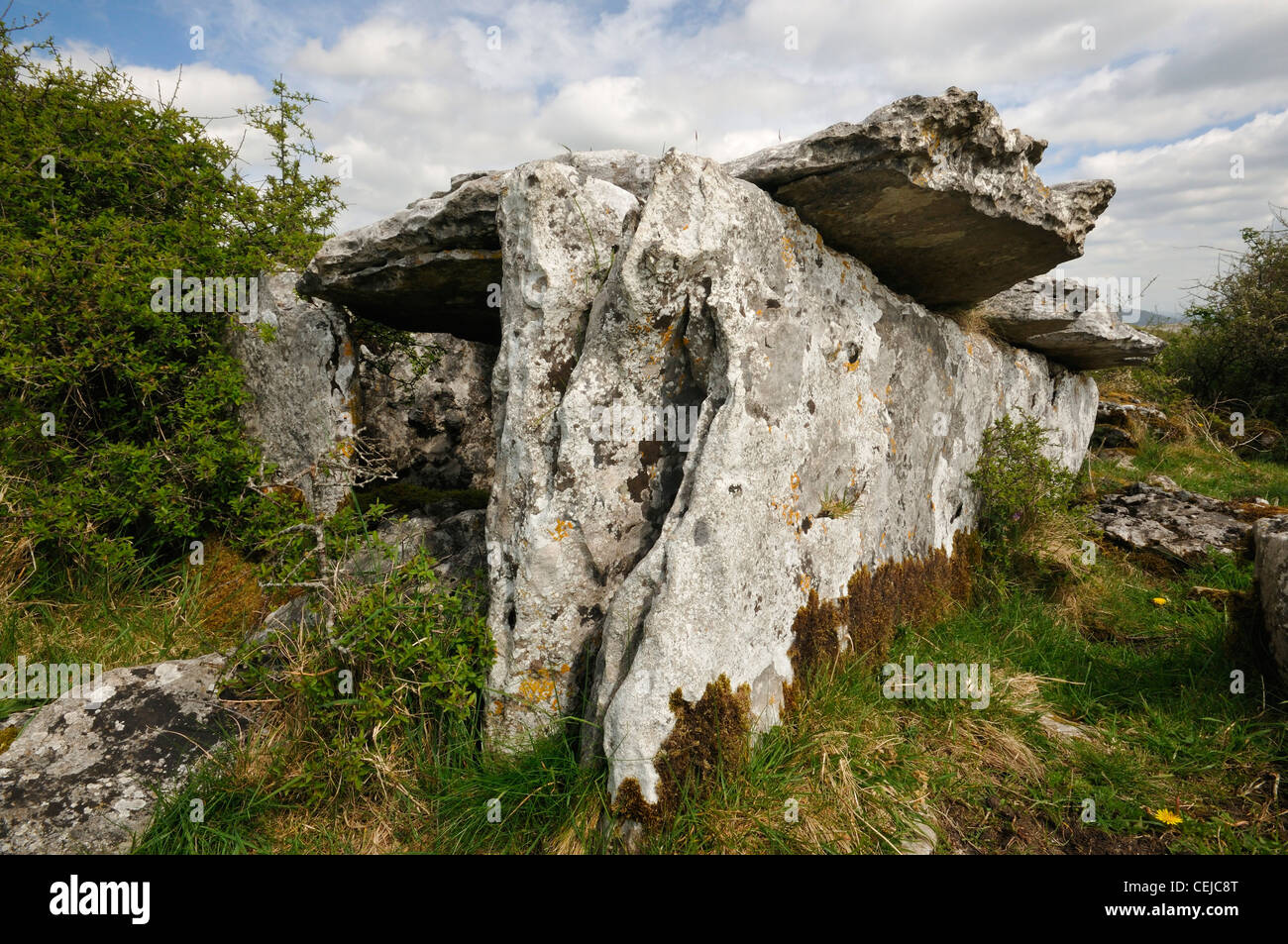 Überwuchert megalithischen Wedge Tomb Killinaboy Common, Burren, Irland Stockfoto