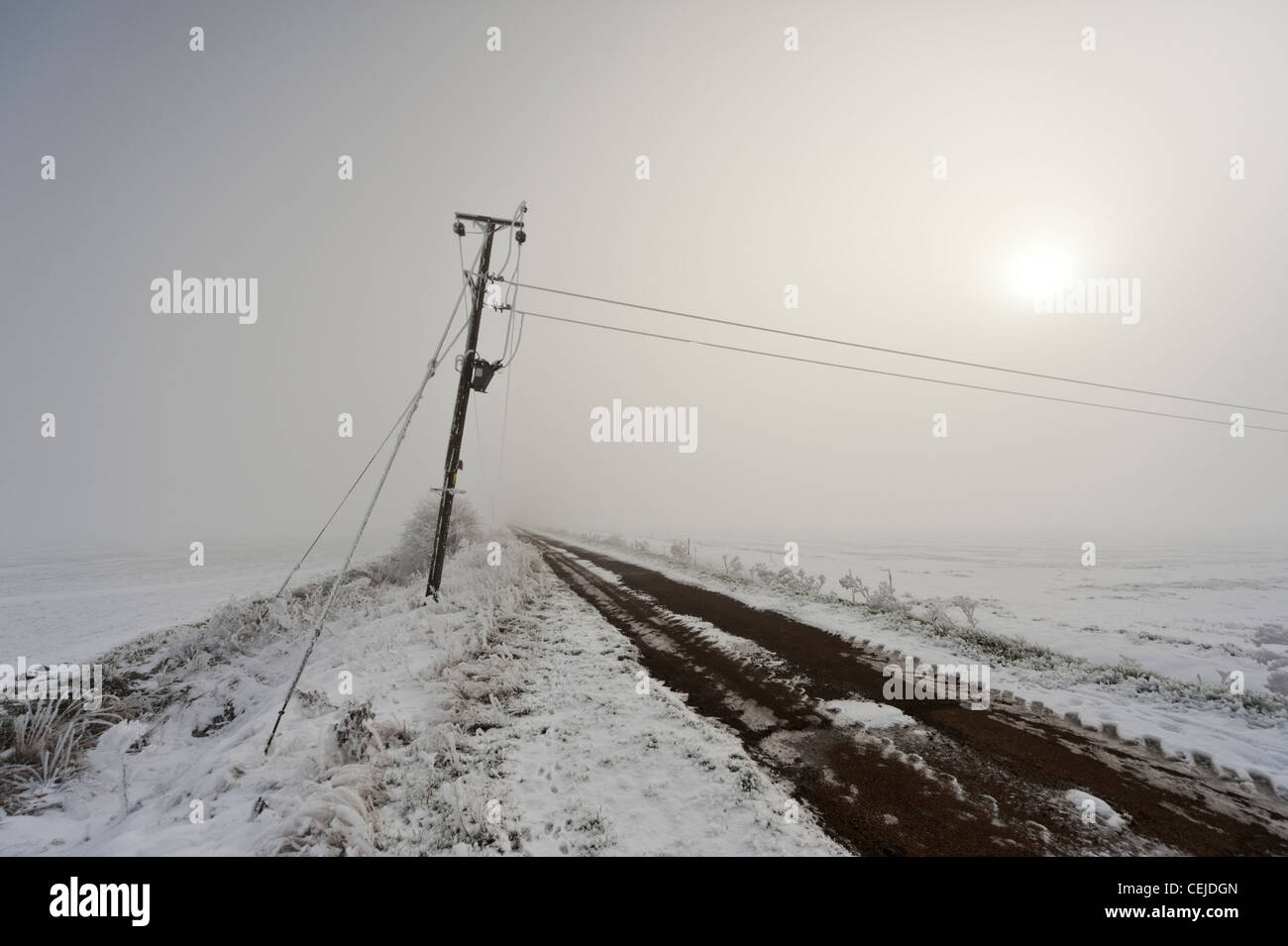 Winter in England Großbritannien Fens. Snowscene an einem eiskalten Tag mit Nebel und Nebel mit eine tiefstehende Sonne nur durchscheint. Stockfoto