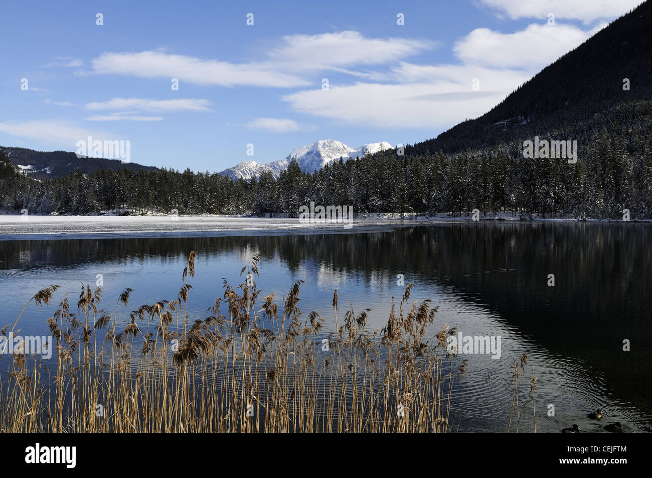 Blick auf den Hintersee in den Bayerischen Alpen in der Nähe von Ramsau und Berchtesgaden, Deutschland. Stockfoto