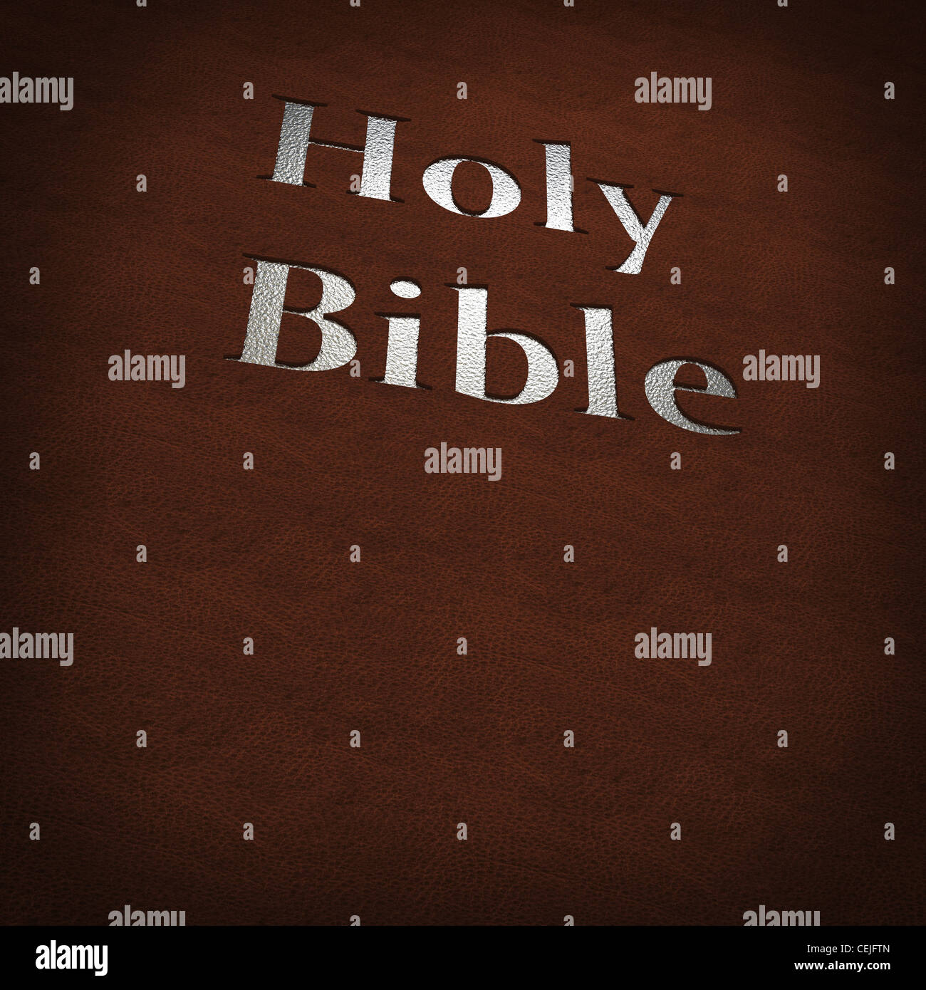 Silber Bibeltext auf Lederbezug Stockfoto