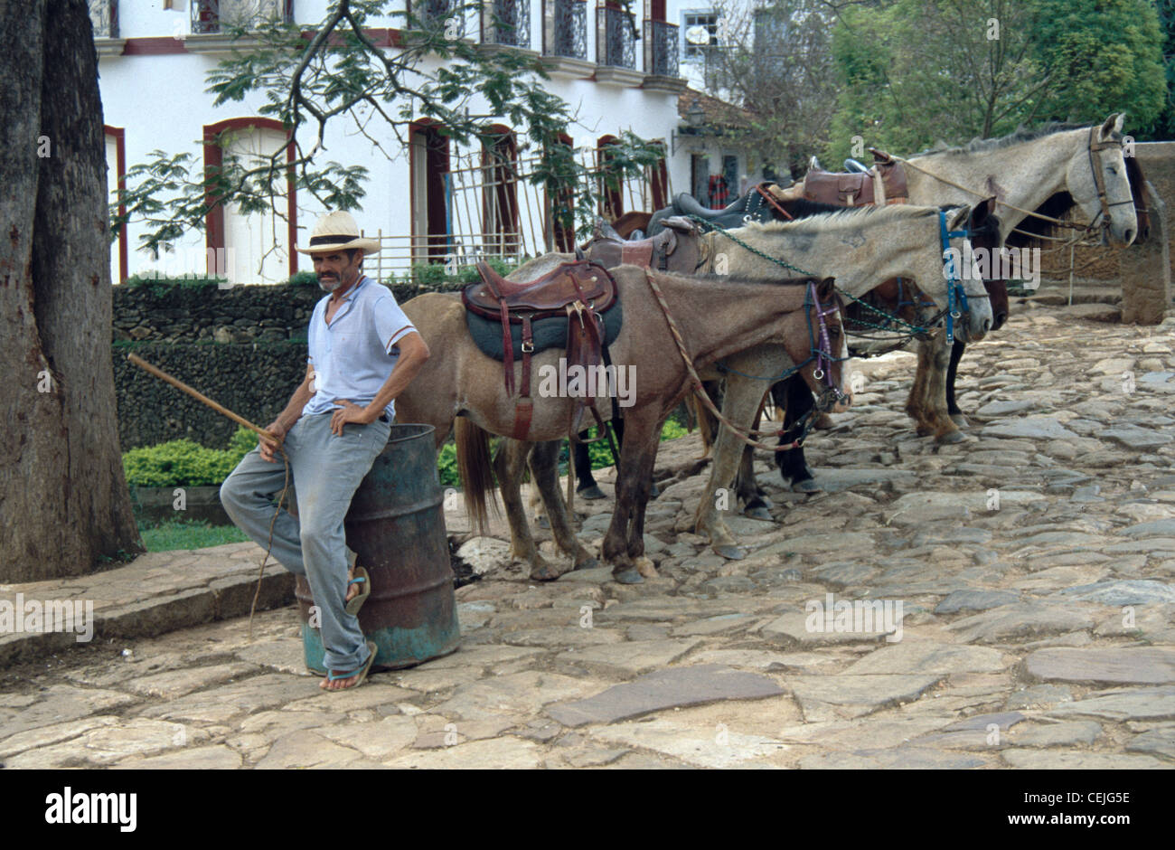 Gaucho mit seinen Pferden in Tiradentes, Minas Gerais, Brasilien Stockfoto