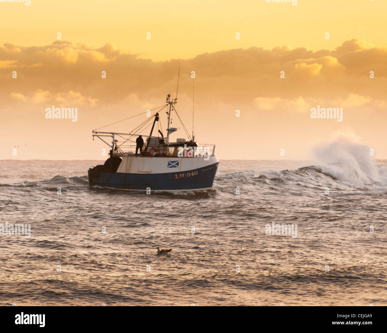 Das Fischerboot "Goldufer" Stockfoto