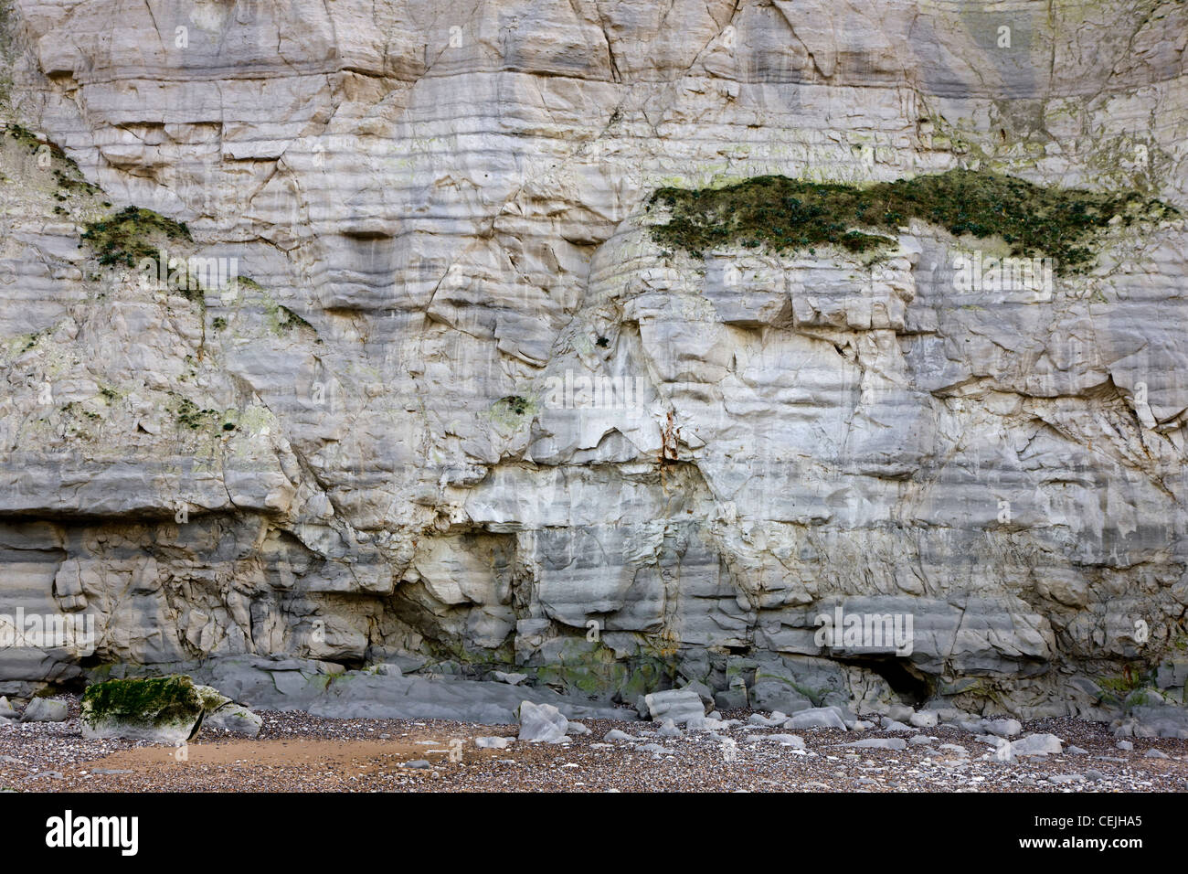 Die weißen Kreidefelsen am Cap Blanc Nez, Pas-de-Calais, Frankreich Stockfoto