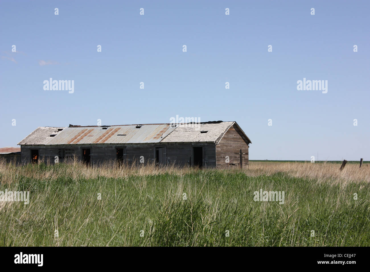 Eine Ranch mit einer alten Scheune in einem Feld nicht mehr verwendet. Stockfoto