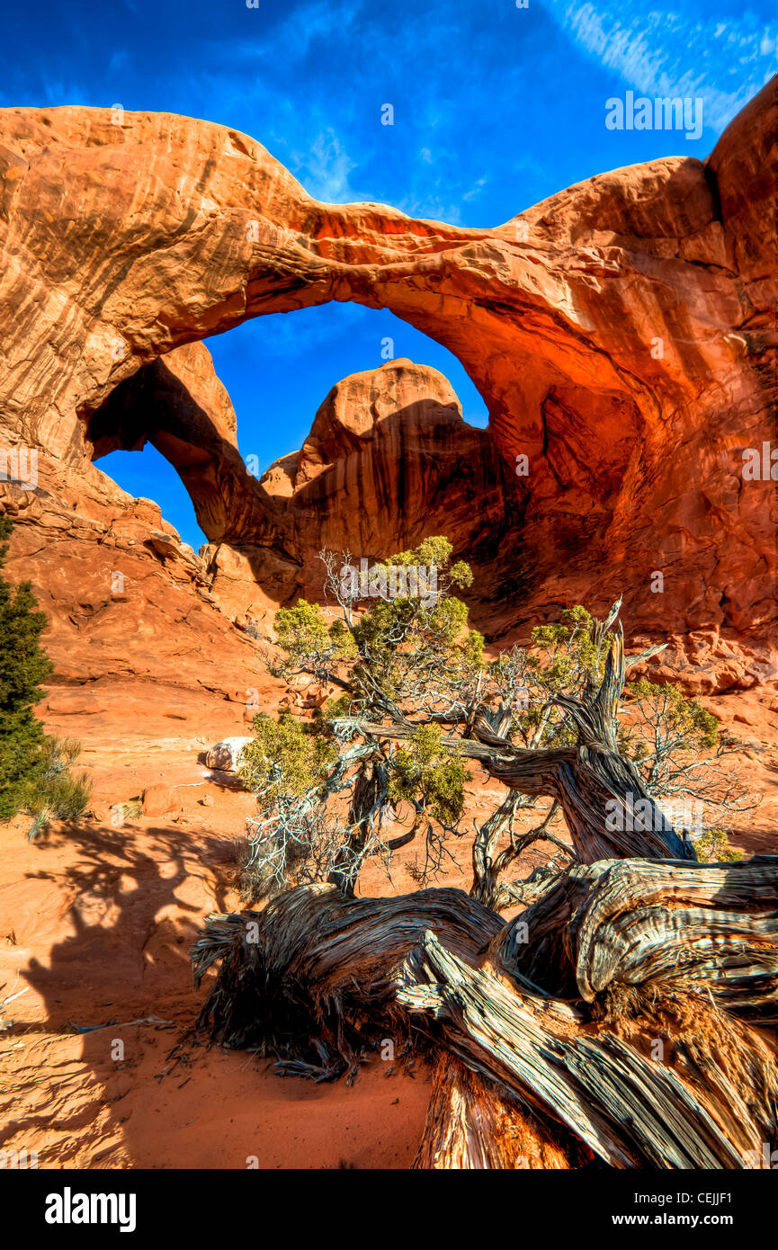 Doppelbogen ist ein Vogelschutznetz paar natürliche Bögen, eines der bekannteren Merkmale des Arches National Park in Utah, USA Stockfoto