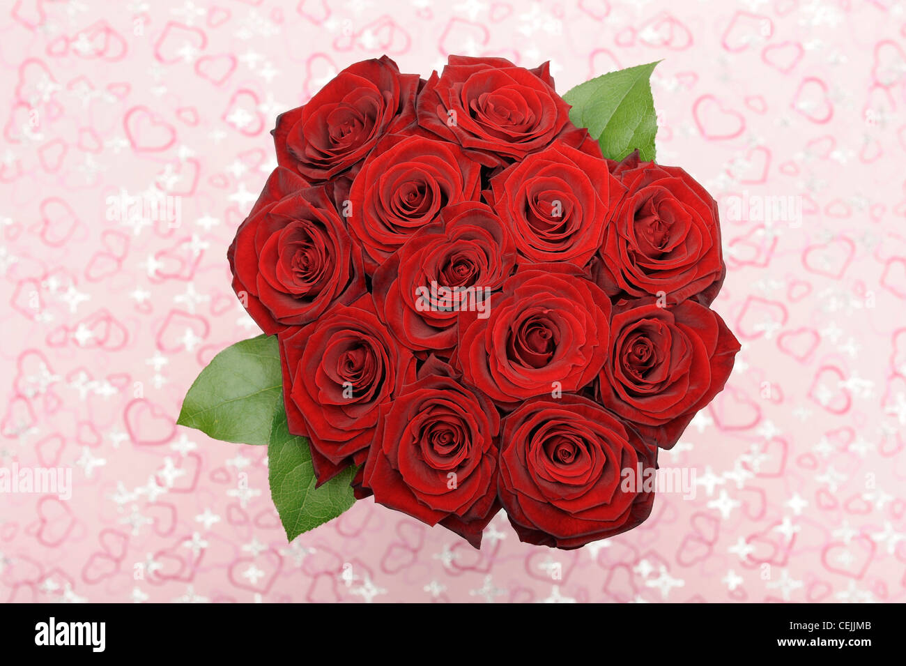 Strauß roter Rosen mit rosa Herzen im Hintergrund Stockfoto