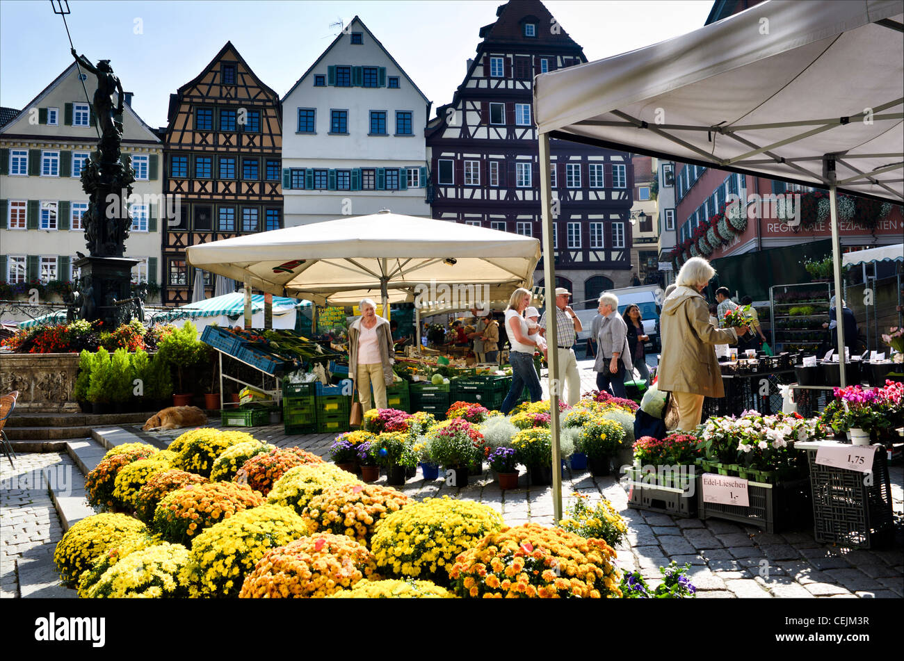 Blumen und Gemüse Stände auf dem Wochenmarkt auf dem Marktplatz in Tübingen, Wochenmarkt Rathausplatz Tübingen, Stockfoto