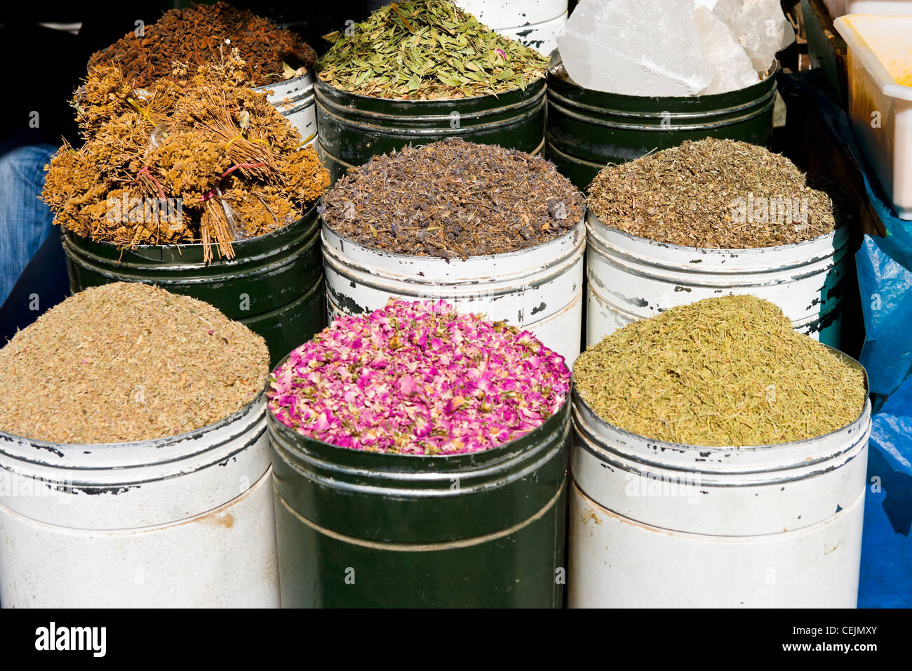 Apotheker verkaufen pflanzliche Arzneimittel in Rahba Kedima (Ort des Epices), Medina, Marrakesch, Marokko, Nordafrika Stockfoto