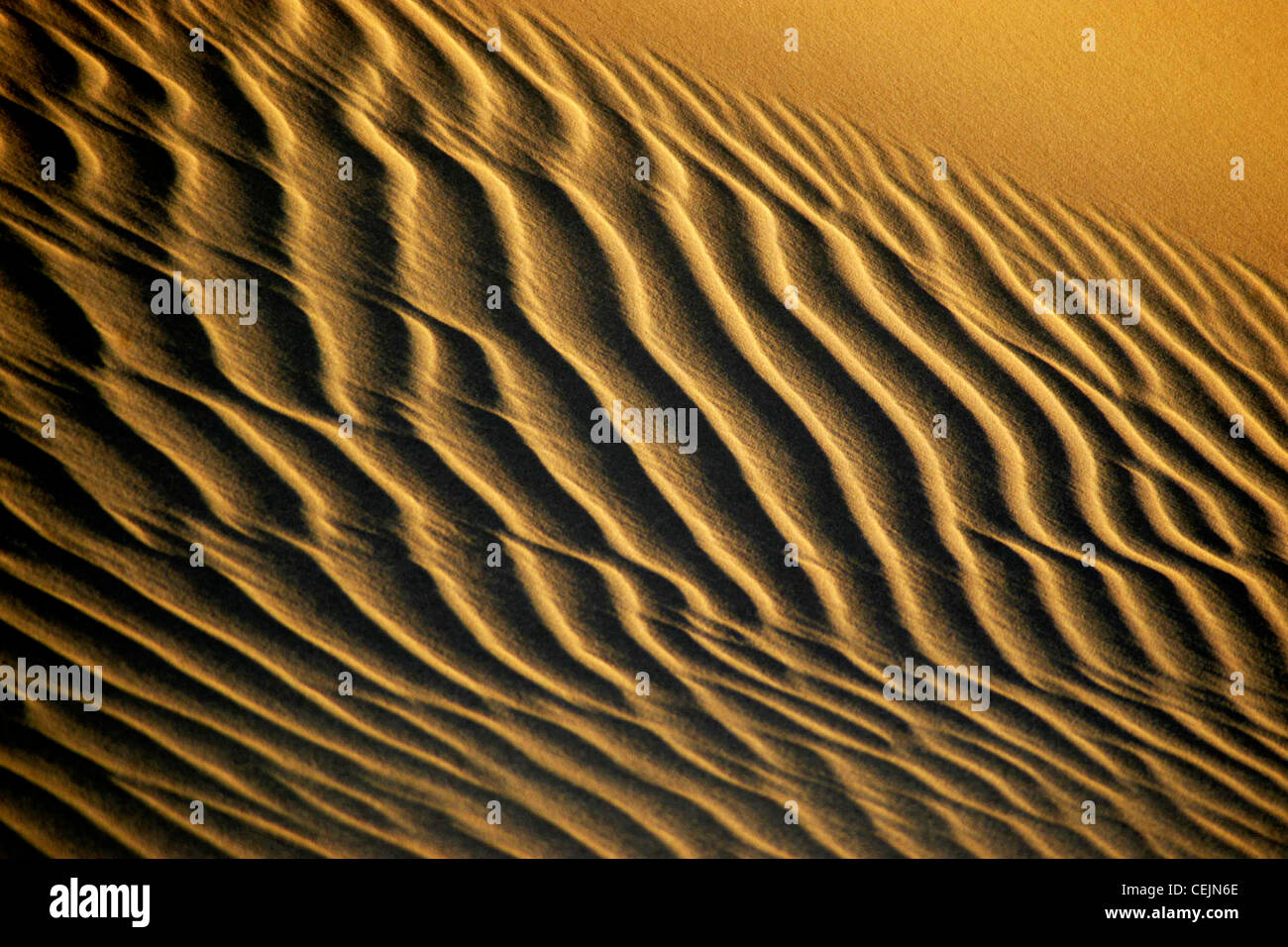 Wellen auf einer Sanddüne. Stockfoto