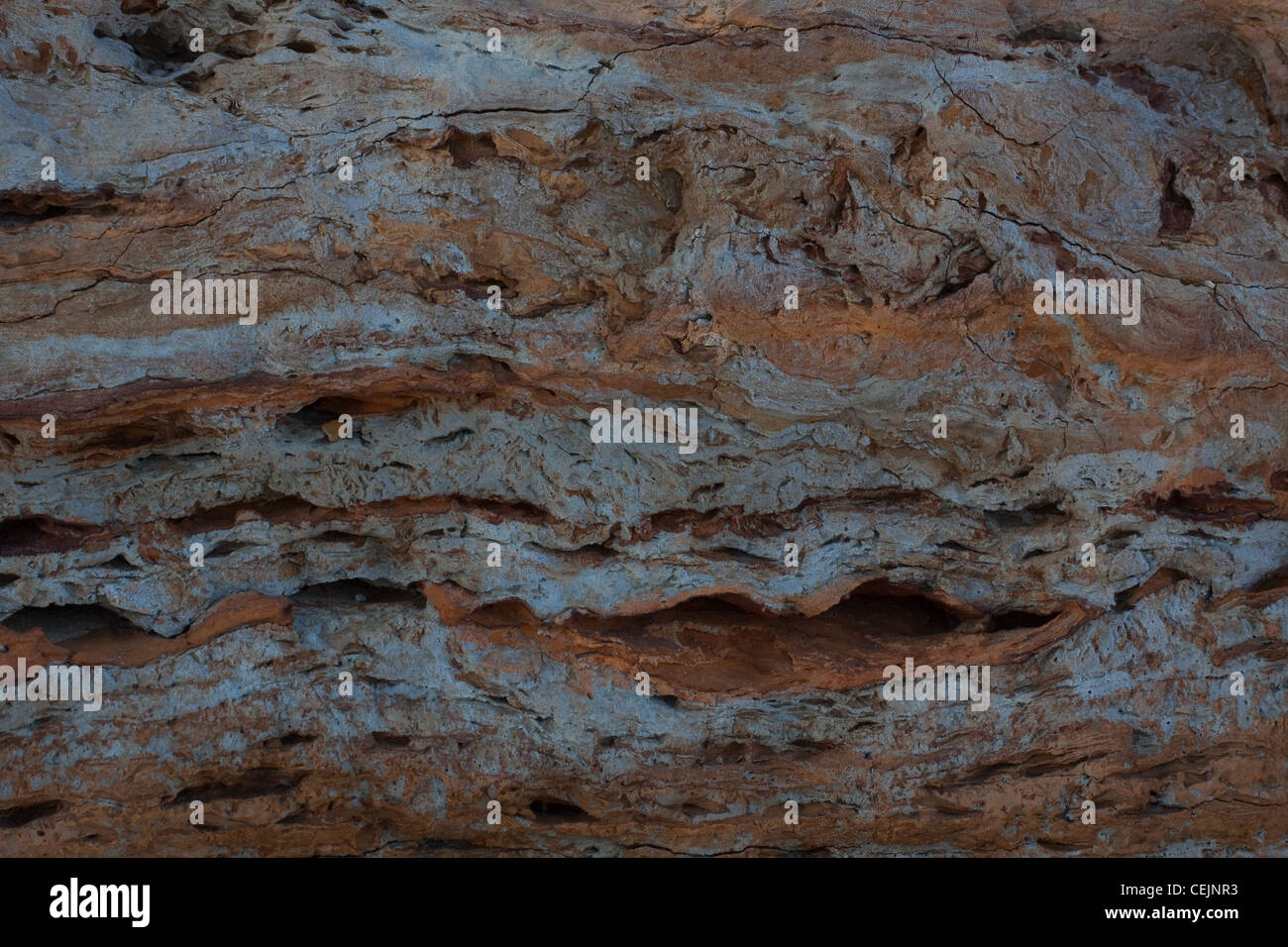 Graue und rote Mudstones bilden die Geologie von der Felswand in der Nähe von Kessingland an der Küste von Suffolk, England Stockfoto