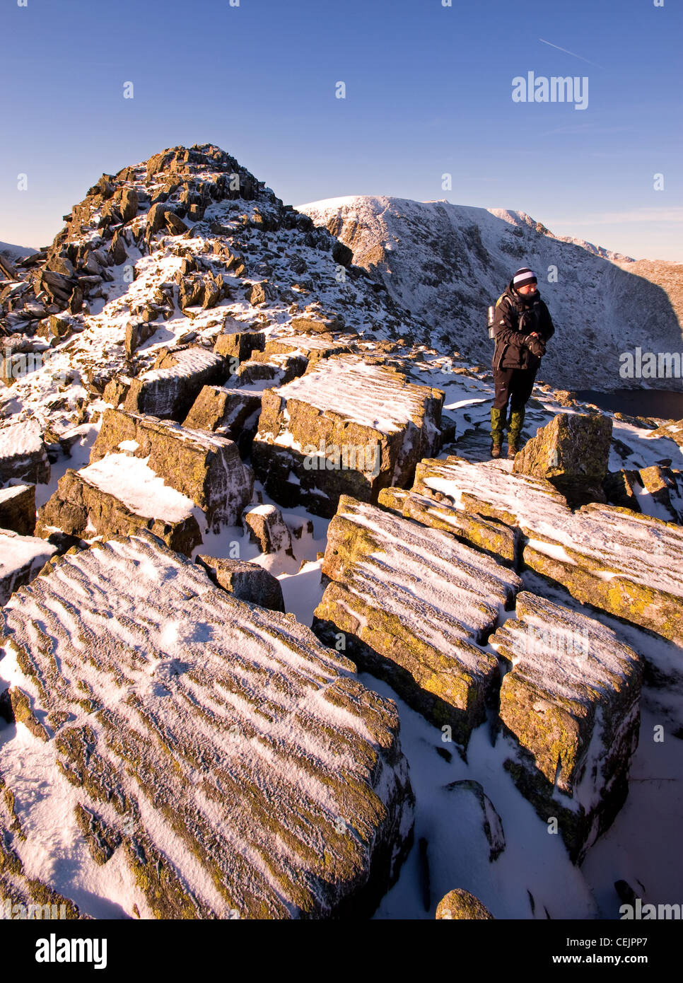 Walker auf Striding Edge, Lakelandpoeten im Lake District, Cumbria Stockfoto