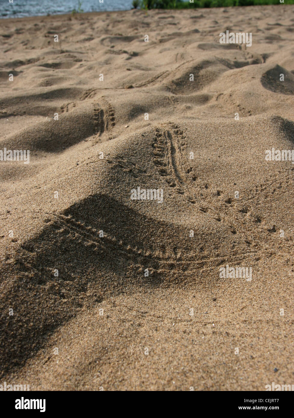 Insekt Käfer Spuren sand Indiana Dunes nationalen Lakeshore Lake Michigan Stockfoto