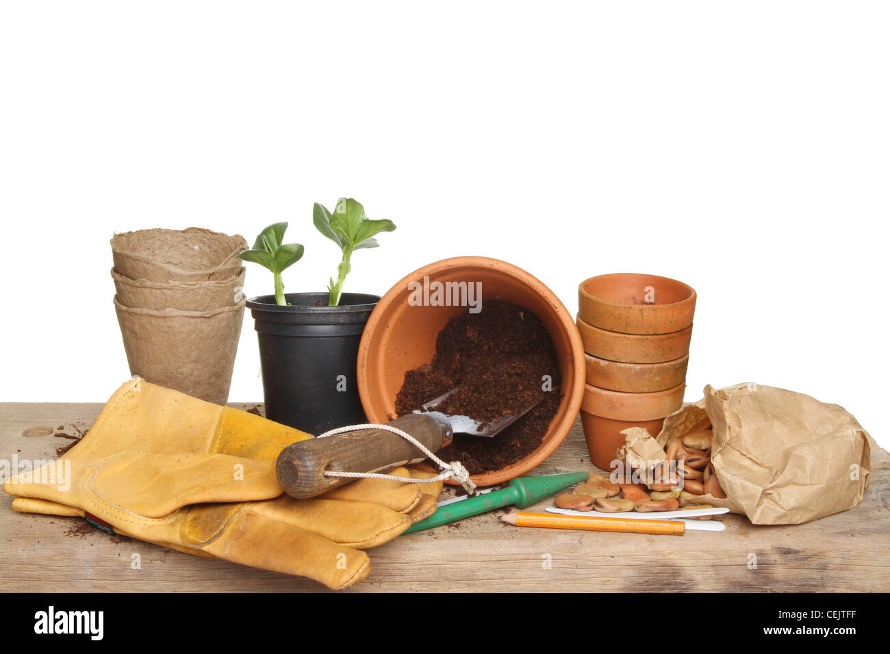 Unter dem Motto Stilleben Gartenarbeit, Gartengeräte, Setzling Pflanzen, Töpfe, Kompost und Samen auf einer Holzbank Blumenerde Stockfoto